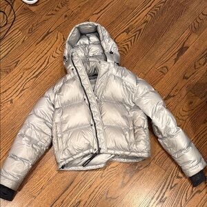 Aritzia Silver - The Super Puff Jacket- shorty